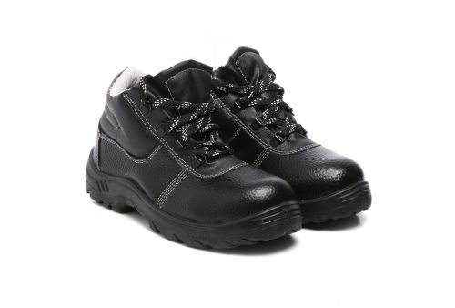 Untitled design - 2025-11-15T130526.702